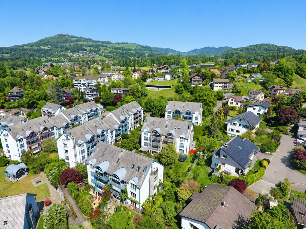 Grüne und sonnige Oase