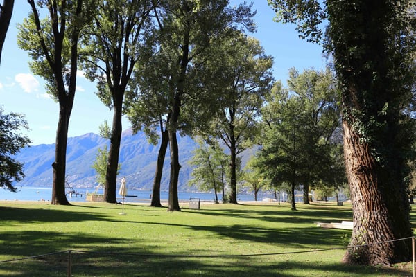 Stilvolle Ruheoase im Zentrum von Ascona – 1.5-Zimmer mit zwei sonnigen Balkonen 12