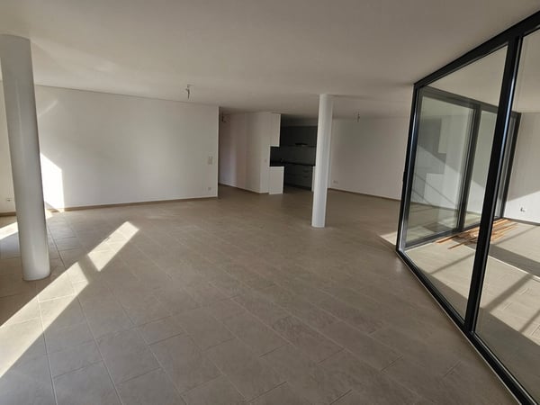 Splendido appartamento 1.5 locali con vista sulle montagne a Solduno 9