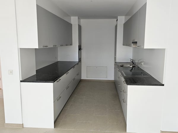 Splendido appartamento 1.5 locali con vista sulle montagne a Solduno 8