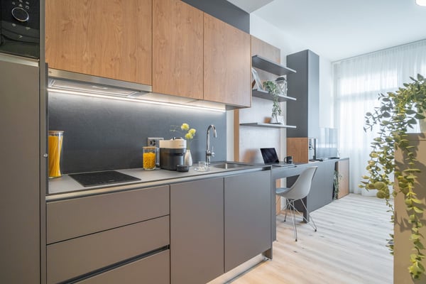 City Pop - Cosy Studio Apartments in Basel 14