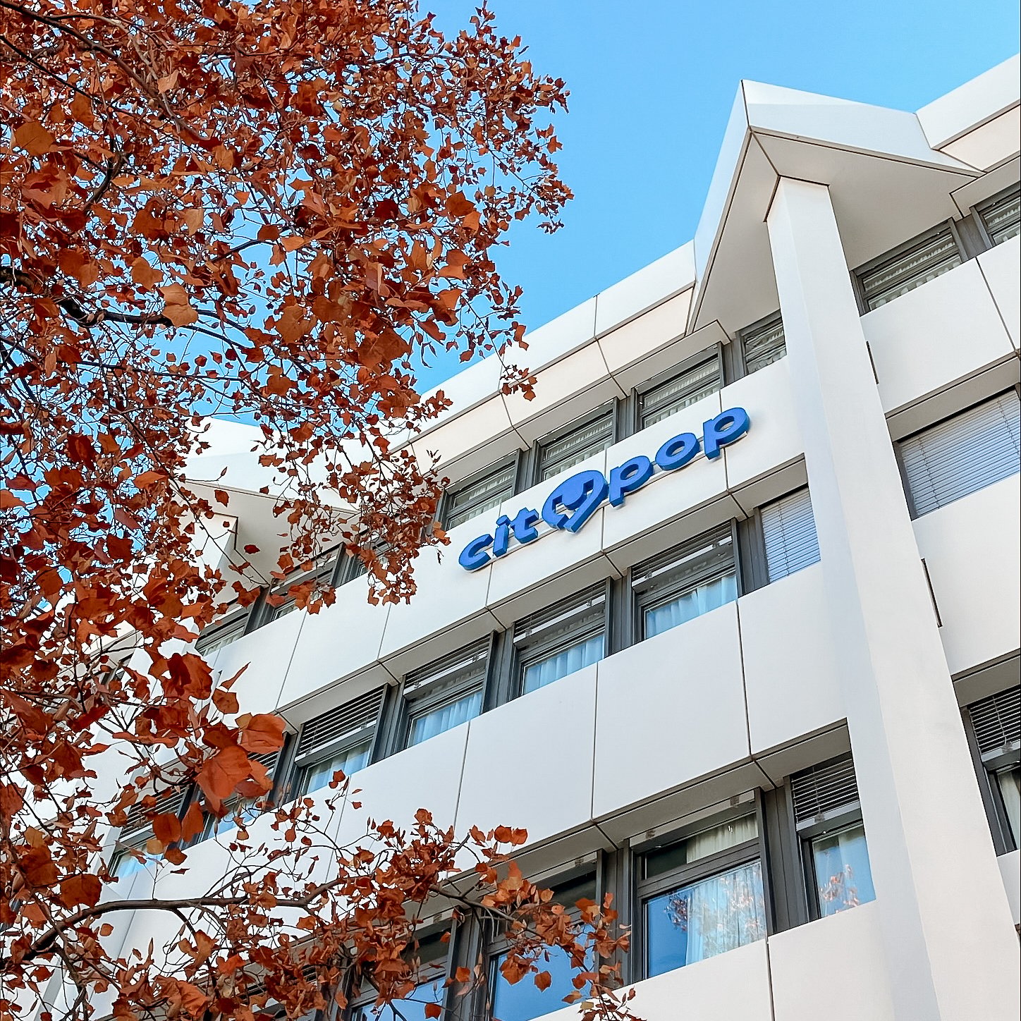 A modern white building with large windows, surrounded by trees with orange autumn leaves