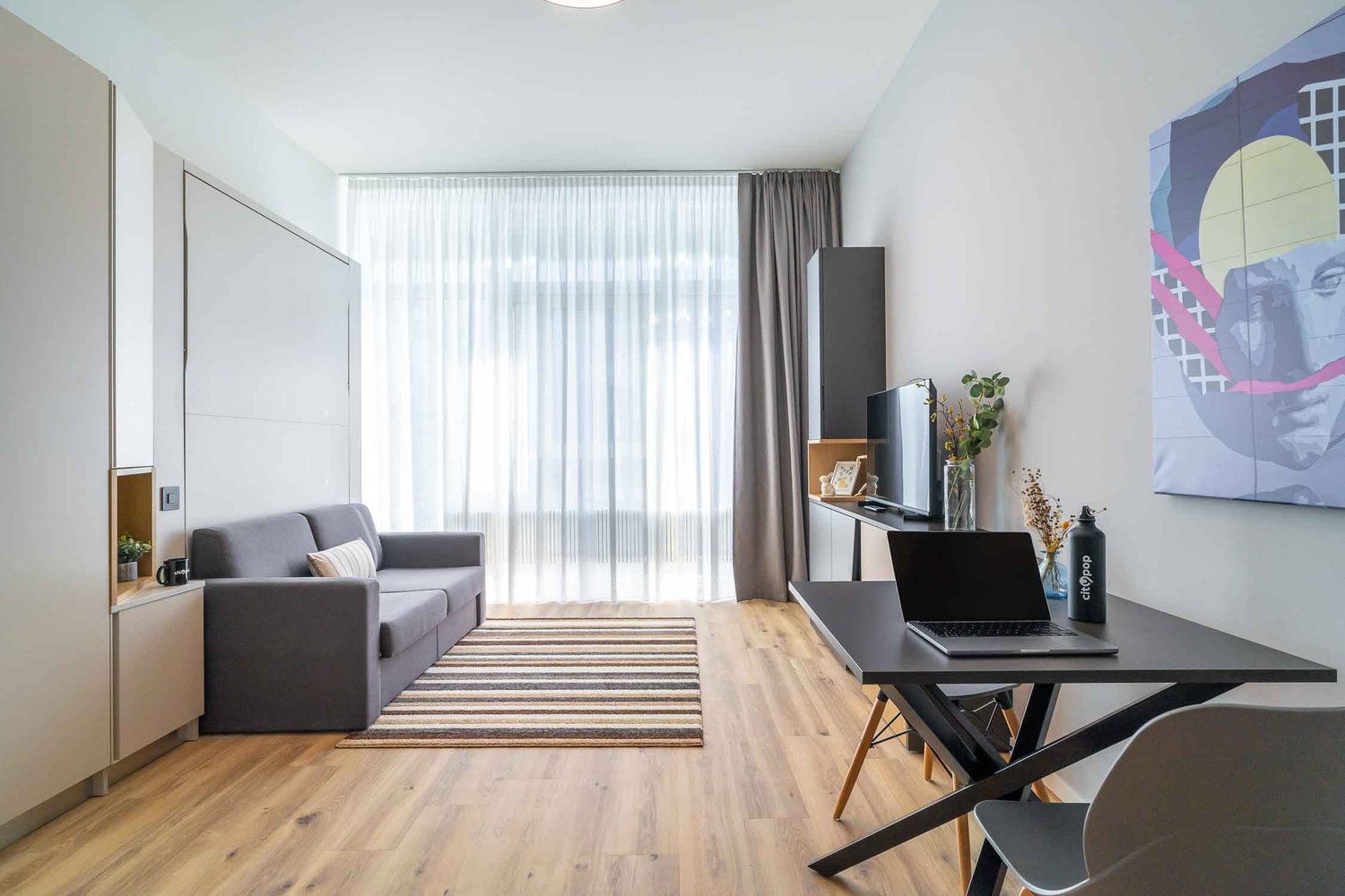Sofa, table, TV, plant, desk, laptop, chair, artwork