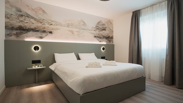 Stylish Pop-room in Schaffhausen - no kitchen 5