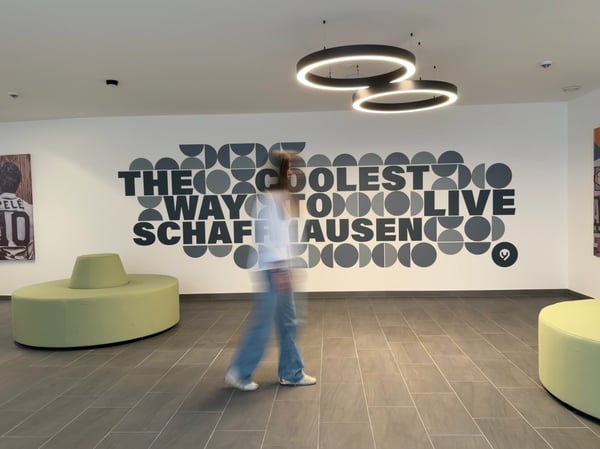 Stylish Pop-room in Schaffhausen - no kitchen 6
