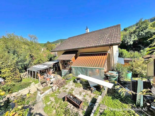 2.5 Zimmer EFH mit Potential am Waldrand 4