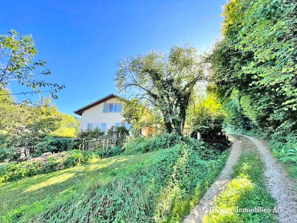 2.5 Zimmer EFH mit Potential am Waldrand 1