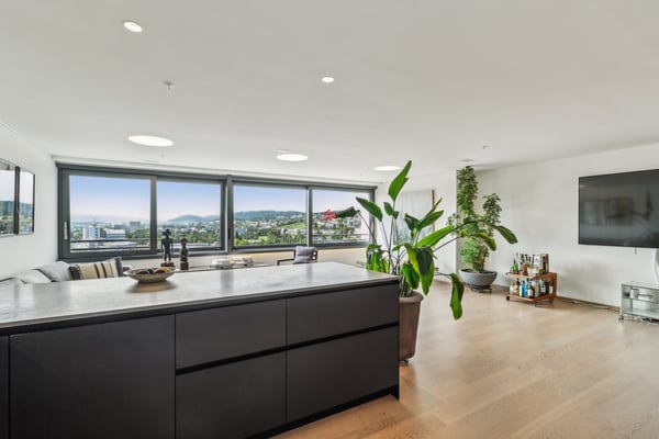 Thronen über den Dächern von Zürich 4