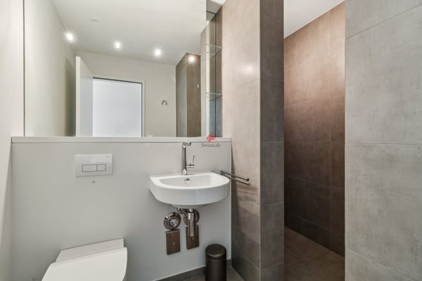 Thronen über den Dächern von Zürich 10