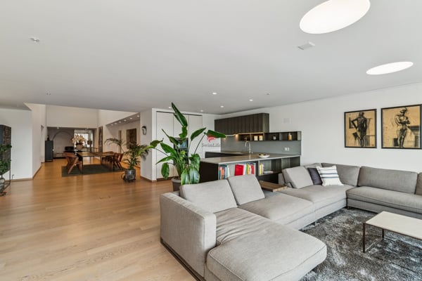 Thronen über den Dächern von Zürich 2