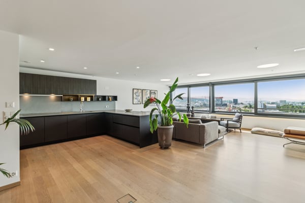 Thronen über den Dächern von Zürich 3