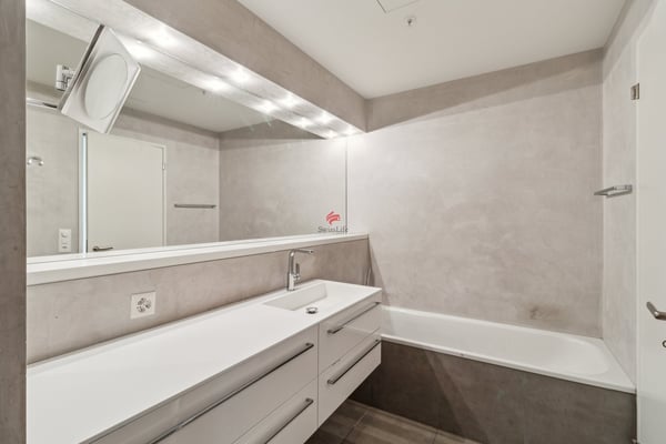 Thronen über den Dächern von Zürich 9