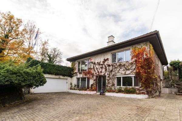 Ihr neues Domizil in der Steueroase.... 1