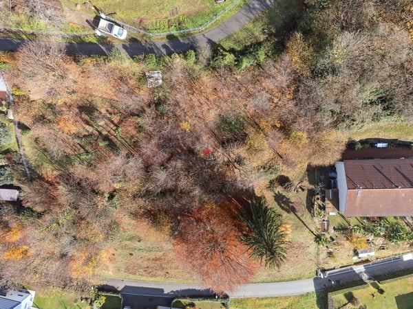 Unica occasione per promotori! 10