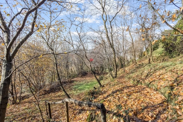 Unica occasione per promotori! 3