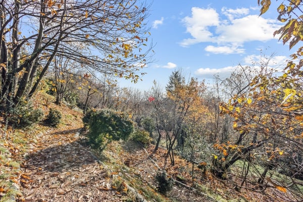 Unica occasione per promotori! 2