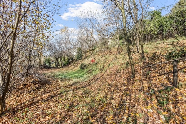 Unica occasione per promotori! 4