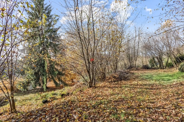 Unica occasione per promotori! 5