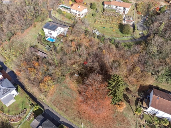 Unica occasione per promotori! 1