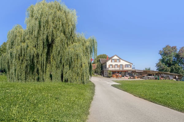 Wohnen und Gewerbe in ländlicher Idylle 12