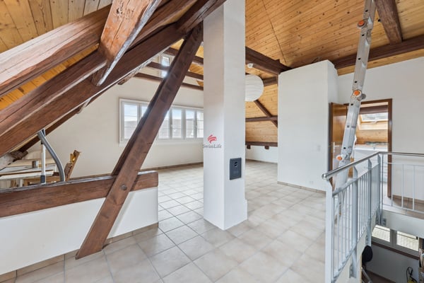 Bauland oder Mehrfamilienhaus? Hier geht beides! 7