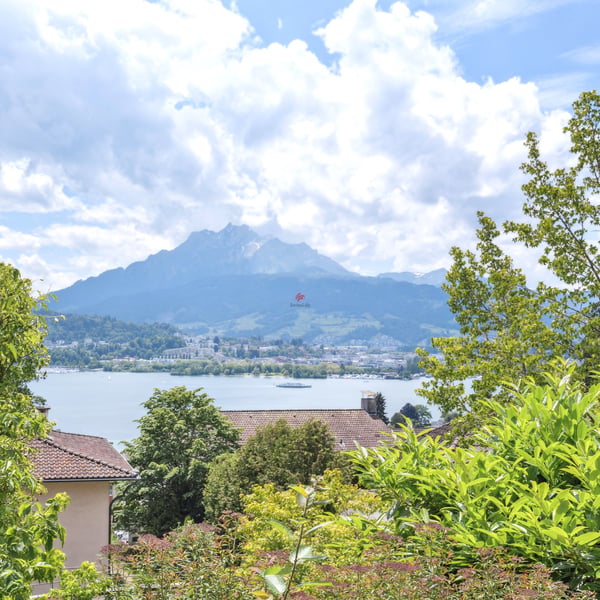 Welcome to Paradise - Natur, Aussicht und Sonnenschein 4