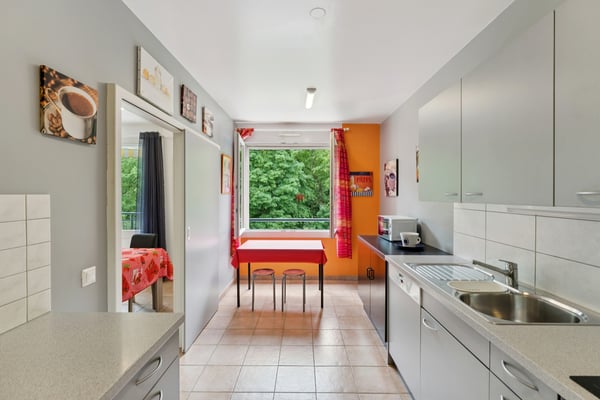 Spacieux appartement traversant de 4 pièces au calme 4