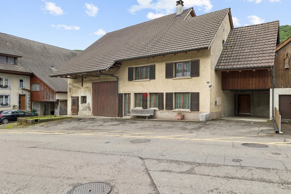 Wohnhaus mit grossem Ökonomiegebäude - Raum für Visionen 1