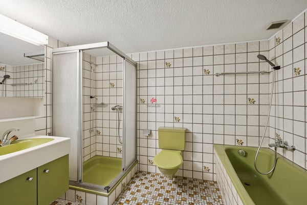 Wohnhaus mit grossem Ökonomiegebäude - Raum für Visionen 7