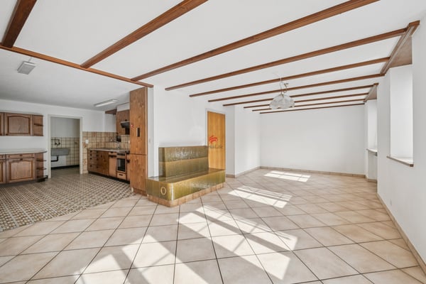 Wohnhaus mit grossem Ökonomiegebäude - Raum für Visionen 2