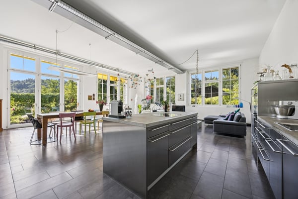 Einmaliges Loft mit Umschwung 4