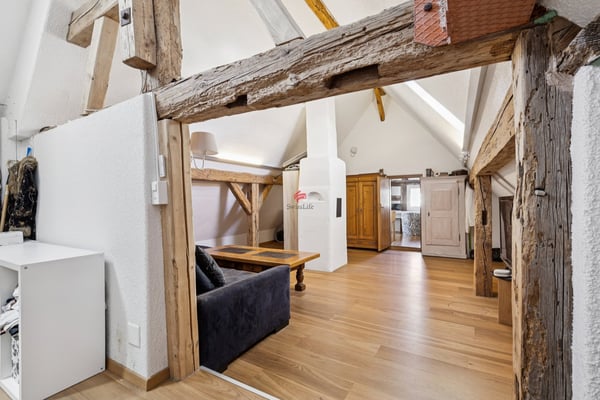 Liebhaberobjekt mit Einliegerwohnung 7