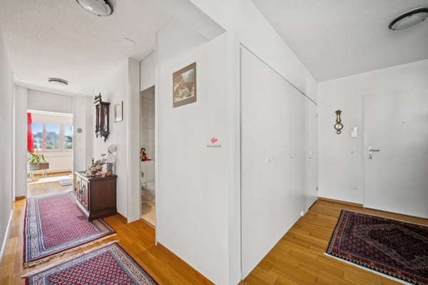 Dachwohnung mit freier Sicht an der Sihl 5