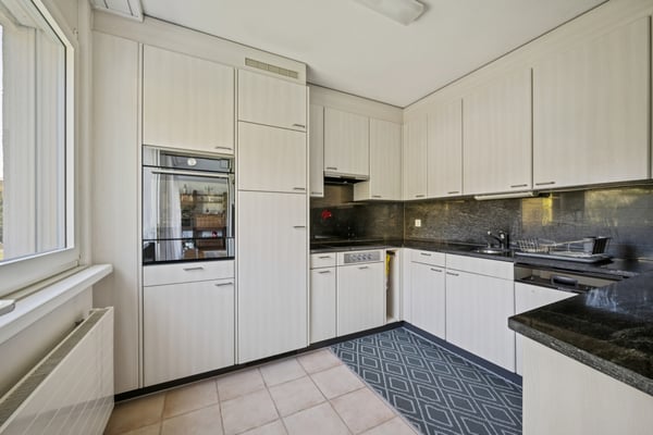 Dachwohnung mit freier Sicht an der Sihl 4