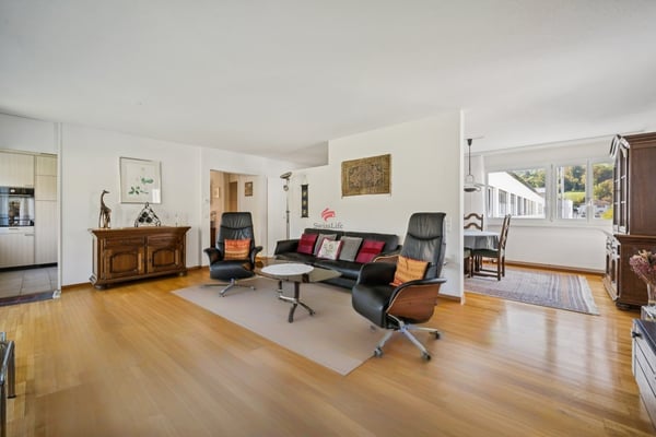 Dachwohnung mit freier Sicht an der Sihl 3