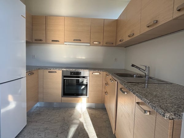 Luminoso appartamento di 1.5 locali a Massagno 3