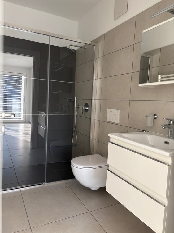 Appartamento di 1.5 locali in locazione a Paradiso 6