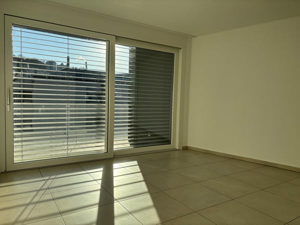 Appartamento di 1.5 locali in locazione a Paradiso 3