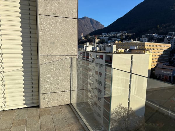 Appartamento di 1.5 locali in locazione a Paradiso 8