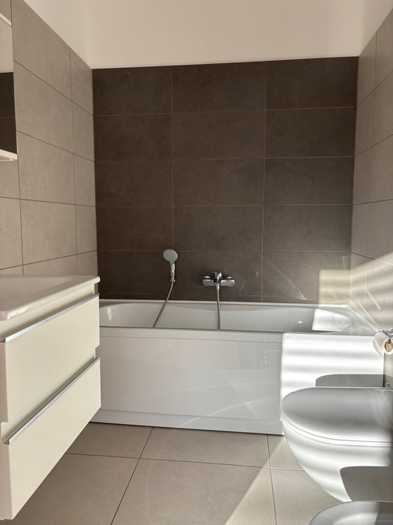 Appartamento di 1.5 locali in locazione a Paradiso 7