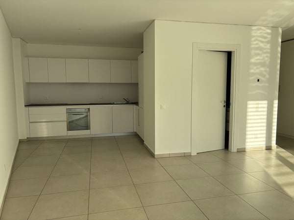 Appartamento di 1.5 locali in locazione a Paradiso 2