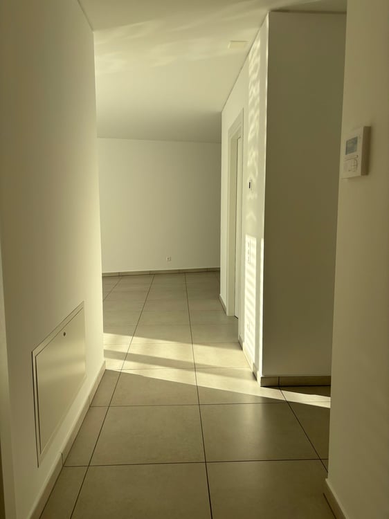 Appartamento di 1.5 locali in locazione a Paradiso 5