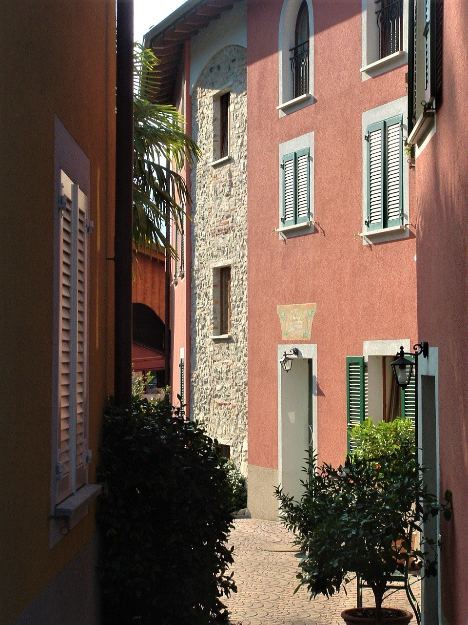 a row of brick and pink buildings, with windows and shutters, a palm tree, and a brick paved pathway