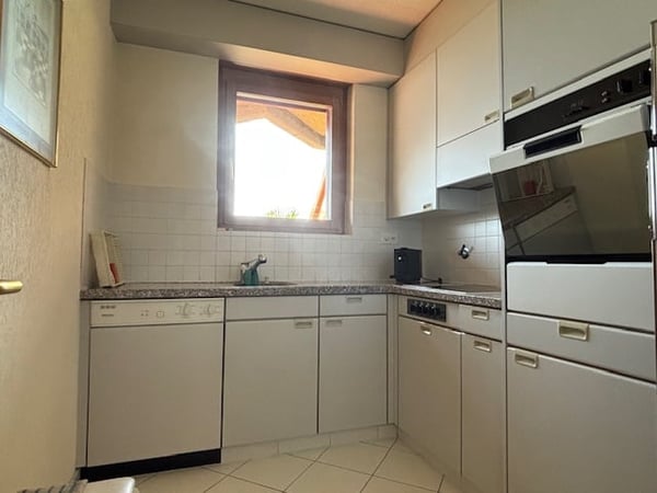 Lugano – Luminoso appartamento di 2.5 locali con terrazzo e vista lago 4