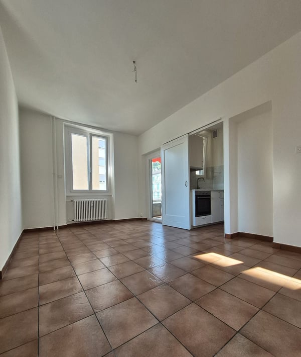 APPARTAMENTO DI 1.5 LOCALI - LUGANO-MOLINO NUOVO 5