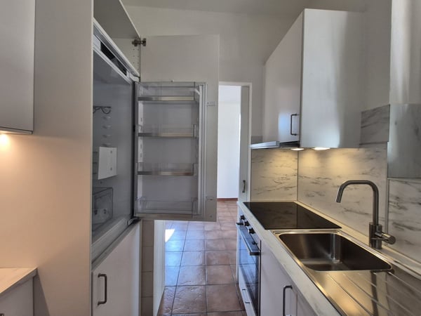 APPARTAMENTO DI 1.5 LOCALI - LUGANO-MOLINO NUOVO 3