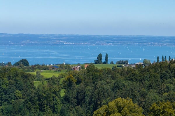 Als Privatresidenz, Kanzlei oder Klinik: Jugendstil-Stadtvilla mit grossem Park und Seesicht 5