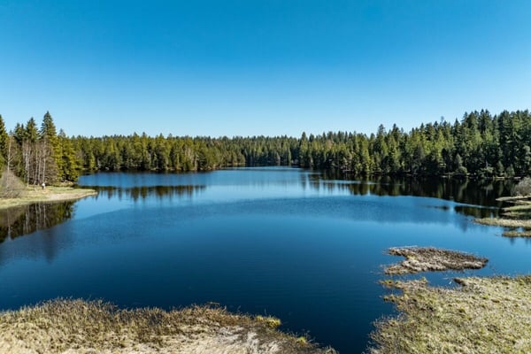 Grosses, diskretes, hochwertiges Landhaus im jurassischen Naturparadies 13