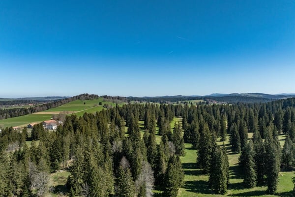 Grosses, diskretes, hochwertiges Landhaus im jurassischen Naturparadies 12