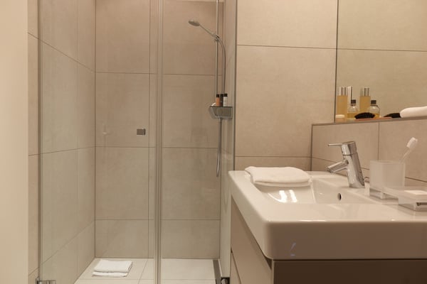 Studio Apartment möbliert und neu renoviert in Zürich Oerlikon 4